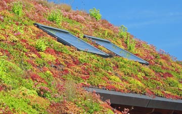 Chryston living roof systems
